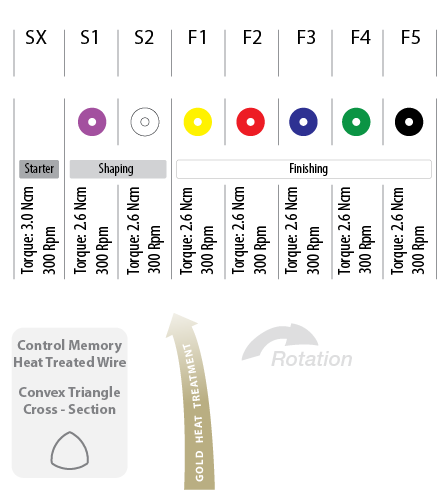 EN_action gold